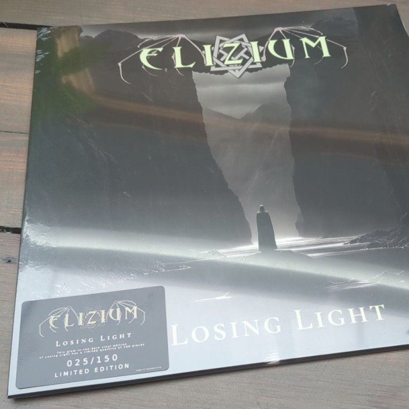 Losing Light - LP